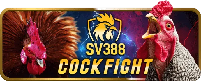Đa dạng trò chơi casino tại BJ27